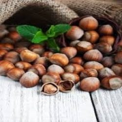 فندق