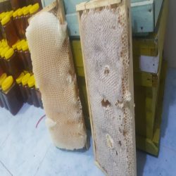 عسل کنار تضمینی و اصل