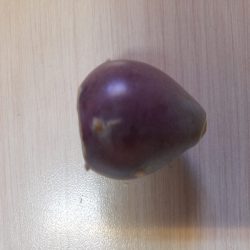 میوه کاکتوس
