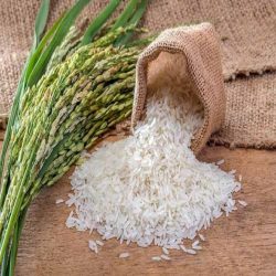 صادرات انواع پسته و برنج 