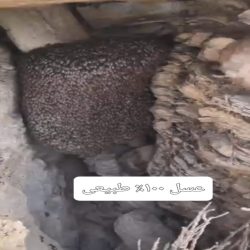 عسل طبیعی