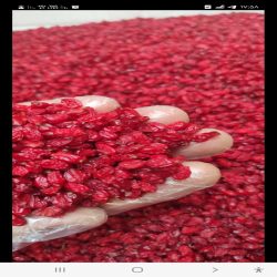 زرشک پفکی اعلا