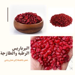 فروش عمده زرشک تازه با قیمت مناسب