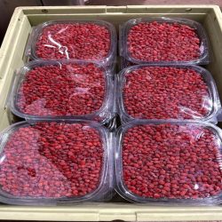 زعفران مرغوب خراسانی
