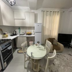 اجاره سوئیت با روف گاردن 