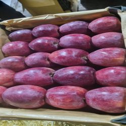 سیب درجه1