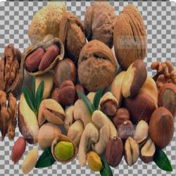 فروش عمده و جزیی خشکبار