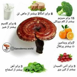 قهوه های گانودرما ضامن سلامتی شما