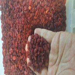 زرشک درجه یک صادراتی
