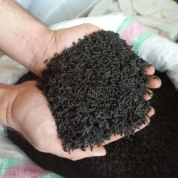 چای بهاره