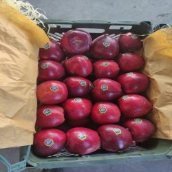 سیب سرخ آذربایجان ایران