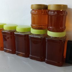 عسل طببعی زاگرس