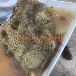عسل وحشی 