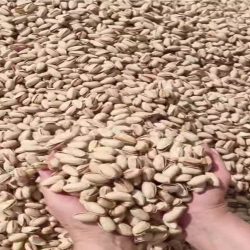 فروش زعفران و خشکبار صداقت فروش زعفران و خشکبار صداقت