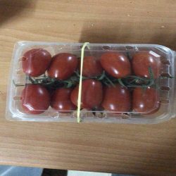 Export cherry tomato