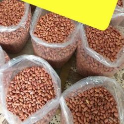 آجیل و خشکبار