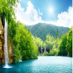 خدمات توریستی