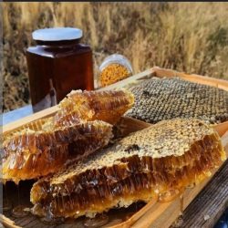 عسل طبیعی آذربایجان