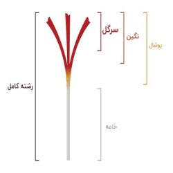 زعفران زعفران