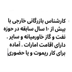 مدير الأعمال الأجنبية