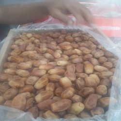 خرما زاهدی درجه یک 