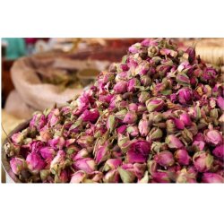 گل محمدی 