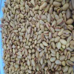 مواد غذایی 