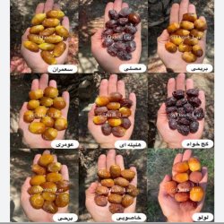 خرمای رطب عالی