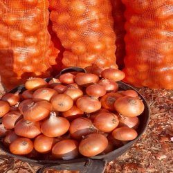 محصولات کشاورزی 