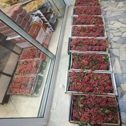 زرشک خراسان تازه خشک شده درجه 1