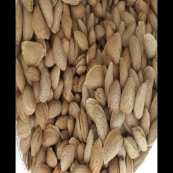 عرضه انواع بادام با کیفیت عرضه انواع بادام با کیفیت