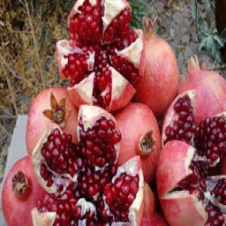 فروش انار درجهیک پاوه از اقلیم کردستان فروش انار درجهیک پاوه از اقلیم کردستان