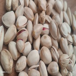 پسته اعلا جزیره