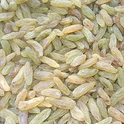 خشکبار