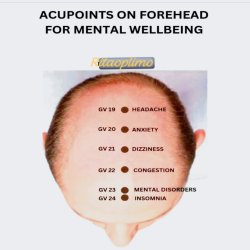 پرژین هیلینگ ساینس پرژین هیلینگ ساینس