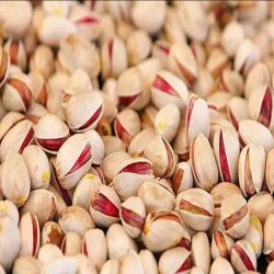 پسته ایرانی / Fresh pistachios