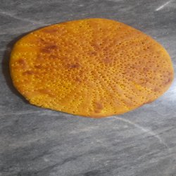 فتیر بجنوردی با طعم اصیل خونگی 