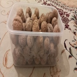 گردو درجه ۱