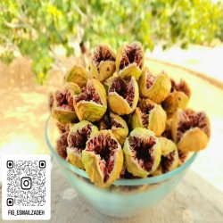 انجیر استهبان