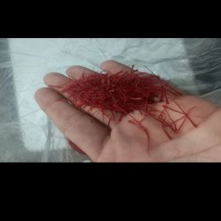 زعفران اصل (خراسان رضوی) زعفران اصل (خراسان رضوی)