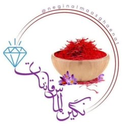 طلای سرخ پایتخت زعفران زمین دنیا