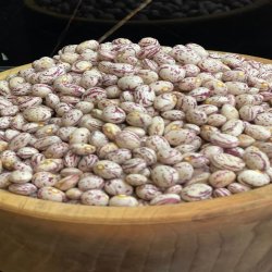 لوبیا چیتی