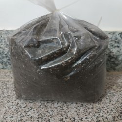 خاک گل مرغوب