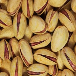 فروش پسته اکبری 