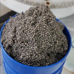 Caviar ،خاویار