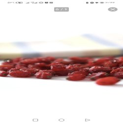 فروش زرشک درجه یک ایرانی فروش زرشک درجه یک ایرانی