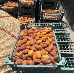 خرمای اصیل ایرانی خرمای اصیل ایرانی