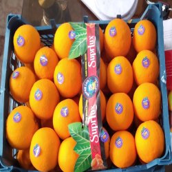 انواع میوه های لوکس و درجه یک 