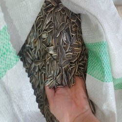 آجیل و تخمه خارجی