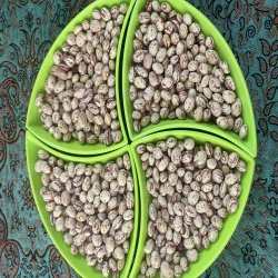 لوبیا چیتی اعلا صادراتی